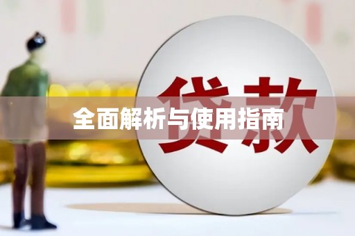 伽师全面解析与使用指南