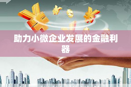 伽师助力小微企业发展的金融利器