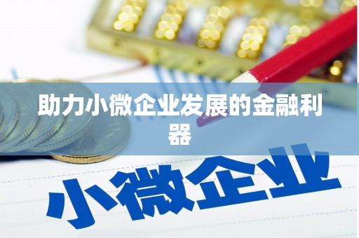 伽师助力小微企业发展的金融利器