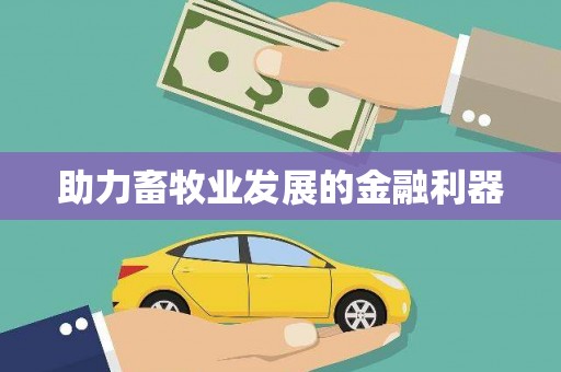 伽师助力畜牧业发展的金融利器