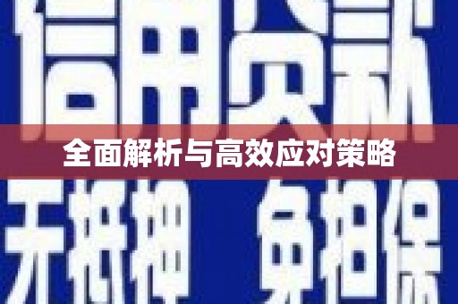 伽师全面解析与高效应对策略