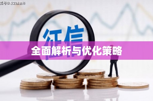 伽师全面解析与优化策略