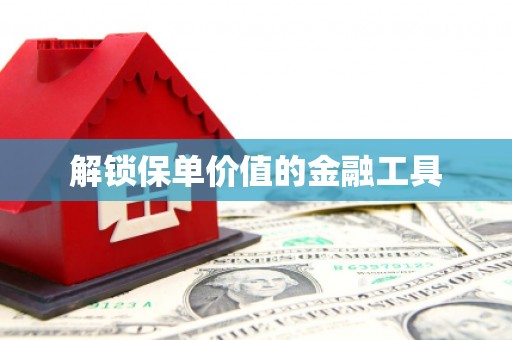 伽师解锁保单价值的金融工具