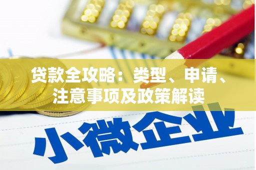 伽师贷款全攻略：类型、申请、注意事项及政策解读