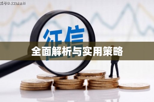伽师全面解析与实用策略
