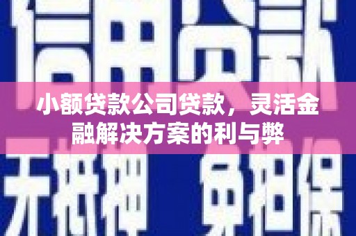 伽师小额贷款公司贷款，灵活金融解决方案的利与弊