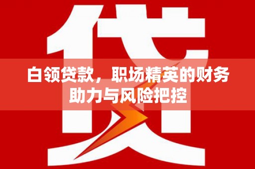 伽师白领贷款，职场精英的财务助力与风险把控